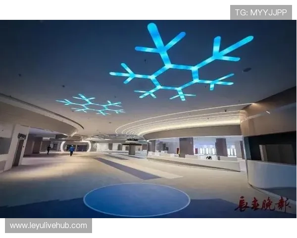 体育场馆运营模式创新,多元业态提升利用效率