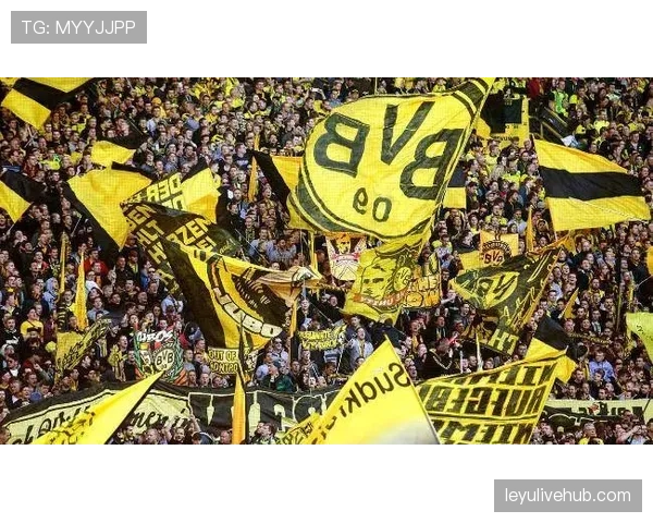 疫情后上座率完全恢复,但德甲部分俱乐部季票销售出现小幅下滑 疫情后上座率完全恢复,但德甲部分俱乐部季票销售出现小幅下滑